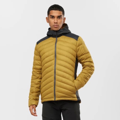 Yellow Salomon Essential Xwarm Down Men's Insulated Jackets | IE IE8432